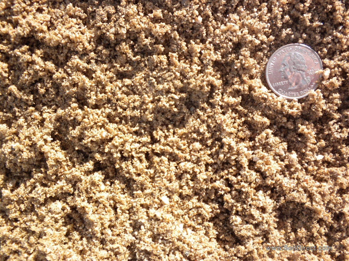 Washed Concrete Sand