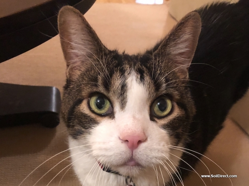 8 Feet Long Rail Road Ties