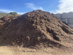 Flower Vegetable Mix